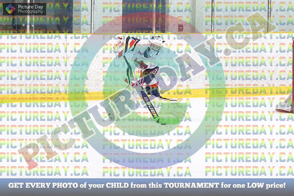 20250131-176631