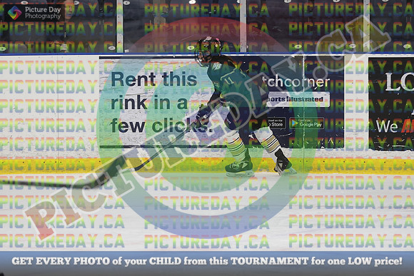 20250131-3099