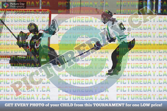 20250208-5496