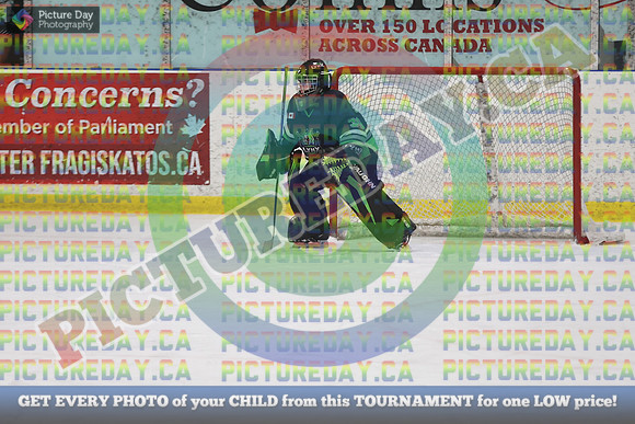 20250201-17456
