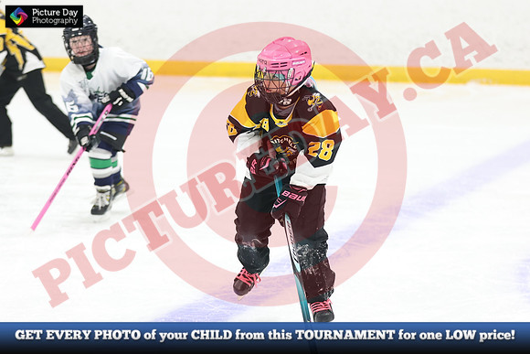 20241214-0798142024 St Marys Sinpers Ringette Tournament