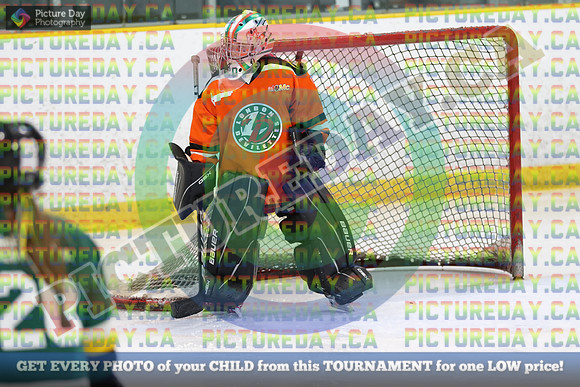 20250201-21246