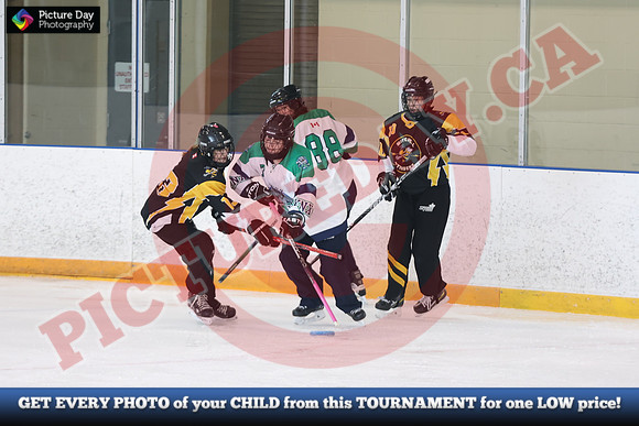 20241214-1605142024 St Marys Sinpers Ringette Tournament