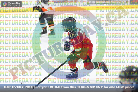 20250131-267531