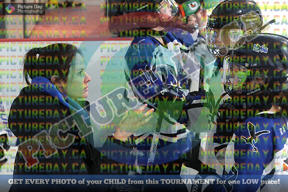 20250208-9581