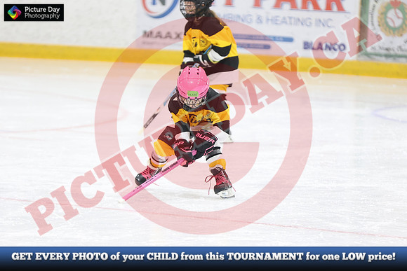 20241215-5676152024 St Marys Sinpers Ringette Tournament