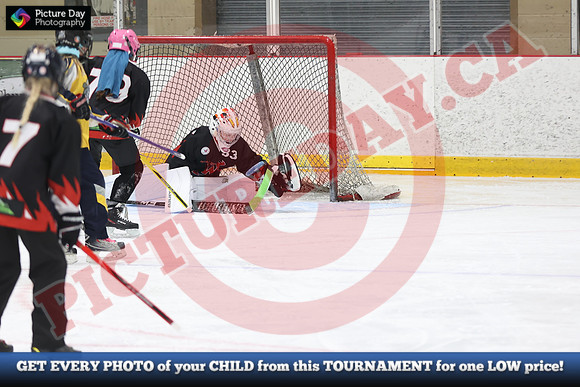 20241214-3112142024 St Marys Sinpers Ringette Tournament
