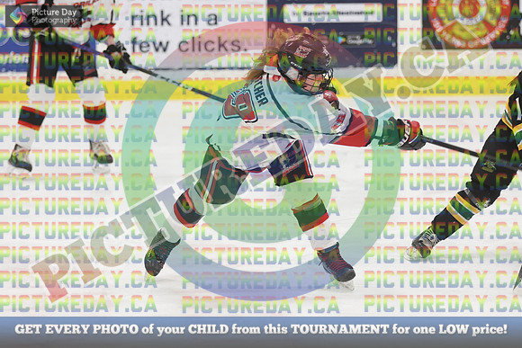 20250201-13919
