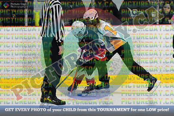 DSC_0172