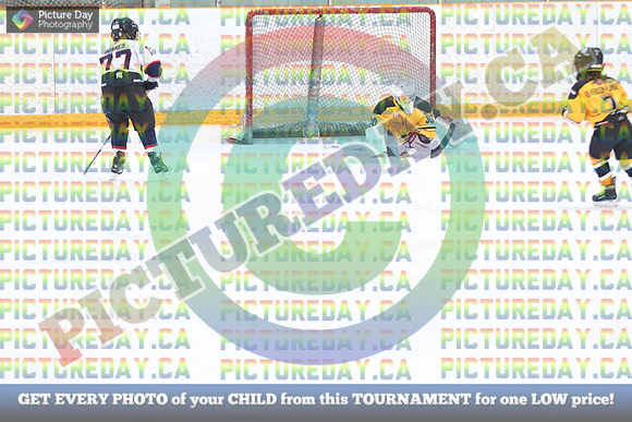 20250201-73181