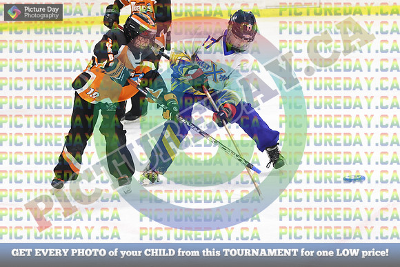 20250313-2931