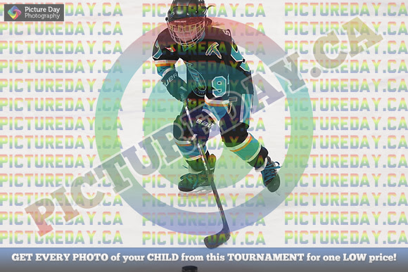20250131-0913