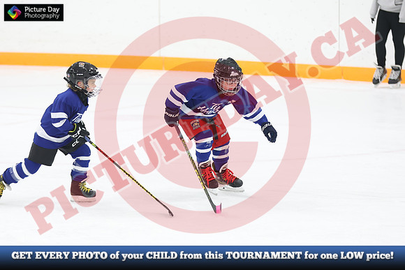 20241108-089082024 Belmont Rangers U7 Rumble