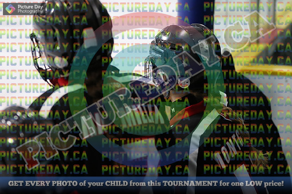 20250201-14814