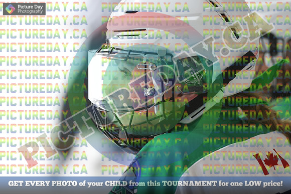 20250228-8388