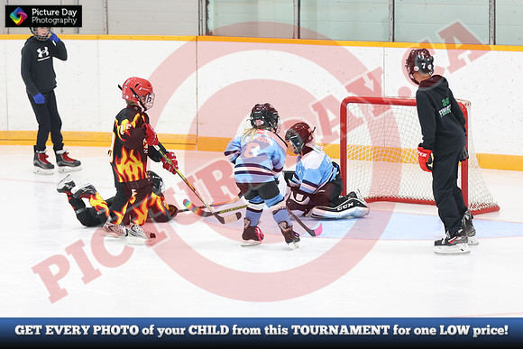 20241108-164082024 Belmont Rangers U7 Rumble