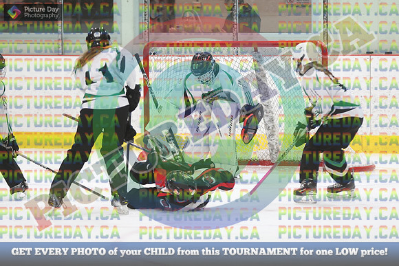 20250208-5515