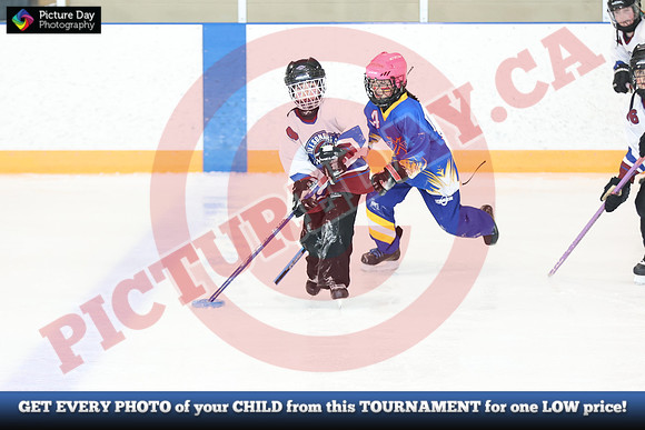 20241214-1240142024 St Marys Sinpers Ringette Tournament