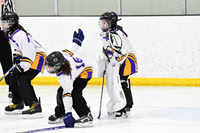 pm 01.15 TCC-West [A T2] Mitchell Stingers vs Ajax Pickering Power