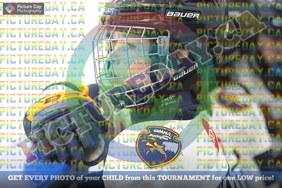 20250119-1936619