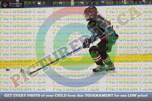 20250201-17964