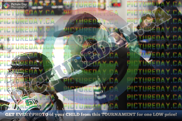 20250131-6406