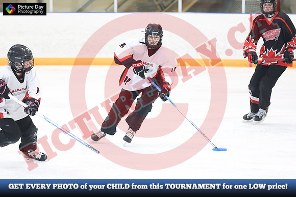 20241215-4680152024 St Marys Sinpers Ringette Tournament
