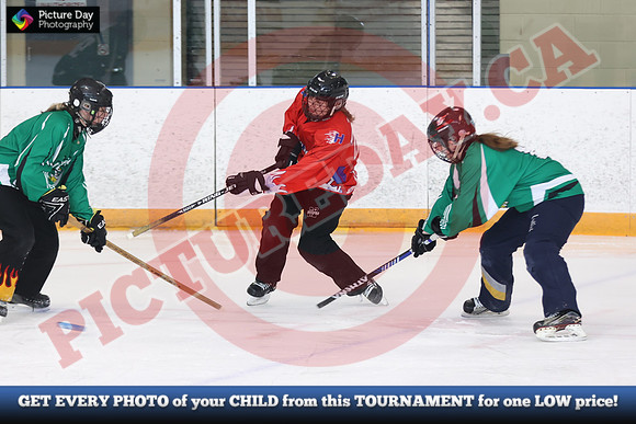 20241214-0970142024 St Marys Sinpers Ringette Tournament