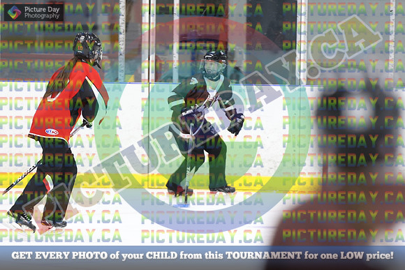 20250301-10199