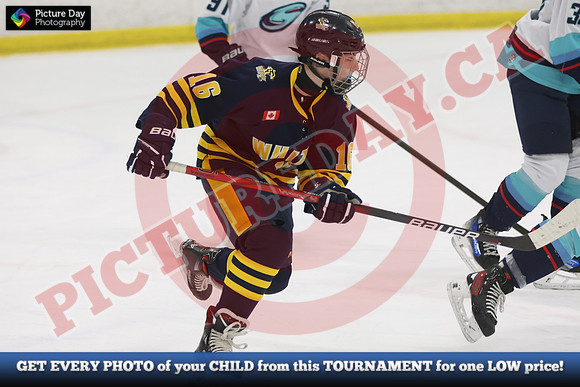20241027-17338