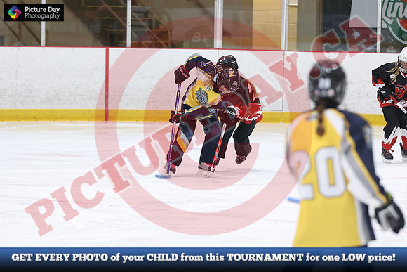 20241214-3110142024 St Marys Sinpers Ringette Tournament