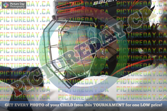 20250131-8658