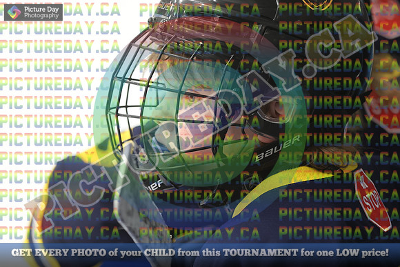 20250221-3590