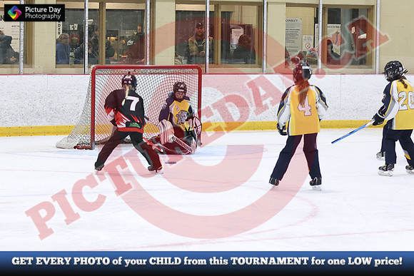 20241214-3124142024 St Marys Sinpers Ringette Tournament