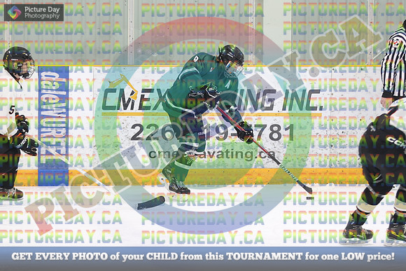 20250131-242931