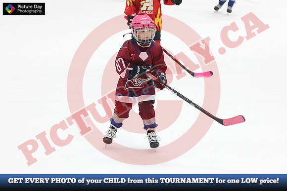 20241108-200182024 Belmont Rangers U7 Rumble