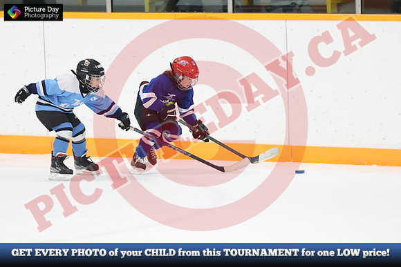 20241108-152582024 Belmont Rangers U7 Rumble