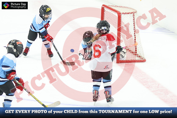 20241108-045382024 Belmont Rangers U7 Rumble