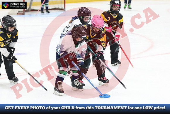 20241214-0819142024 St Marys Sinpers Ringette Tournament