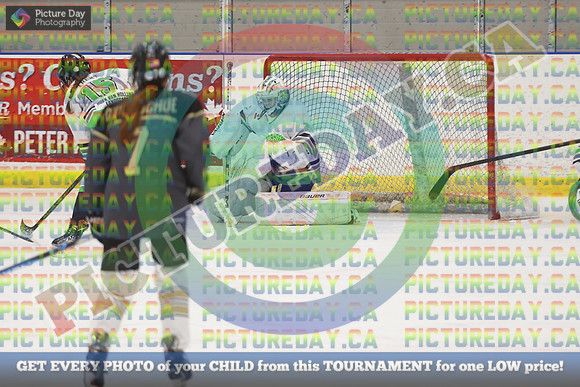 20250131-3109