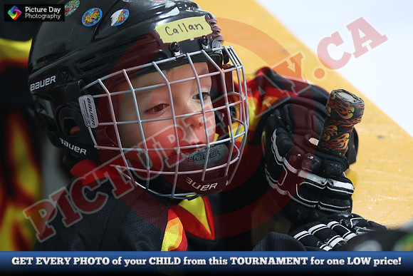 20241108-062982024 Belmont Rangers U7 Rumble