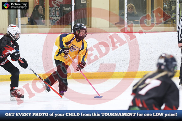 20241215-5238152024 St Marys Sinpers Ringette Tournament