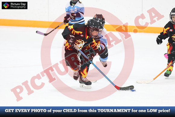 20241108-201982024 Belmont Rangers U7 Rumble