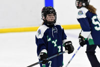 pm 02.00 TCC-East [C] London Lynx vs Kitchener Wildcats - McNamara
