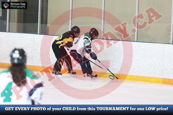 20241214-1603142024 St Marys Sinpers Ringette Tournament