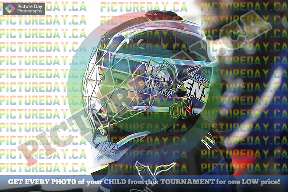 20250331-0011