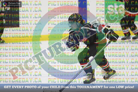 20250131-7306