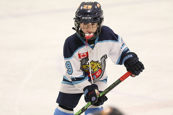 20180121-20229_am 08.30 HANS [MinNov3] West Hill Minor Novice Gold vs Barrie Jr Colts