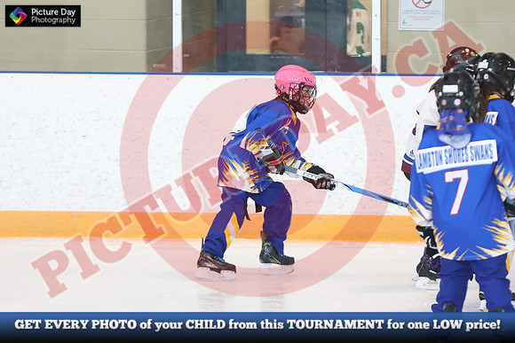 20241214-1276142024 St Marys Sinpers Ringette Tournament