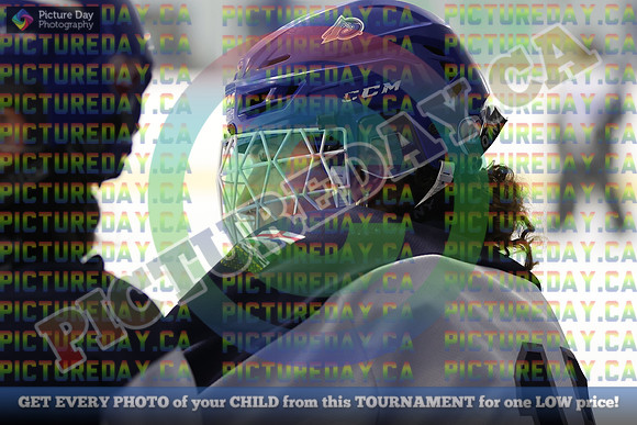 20250331-2538